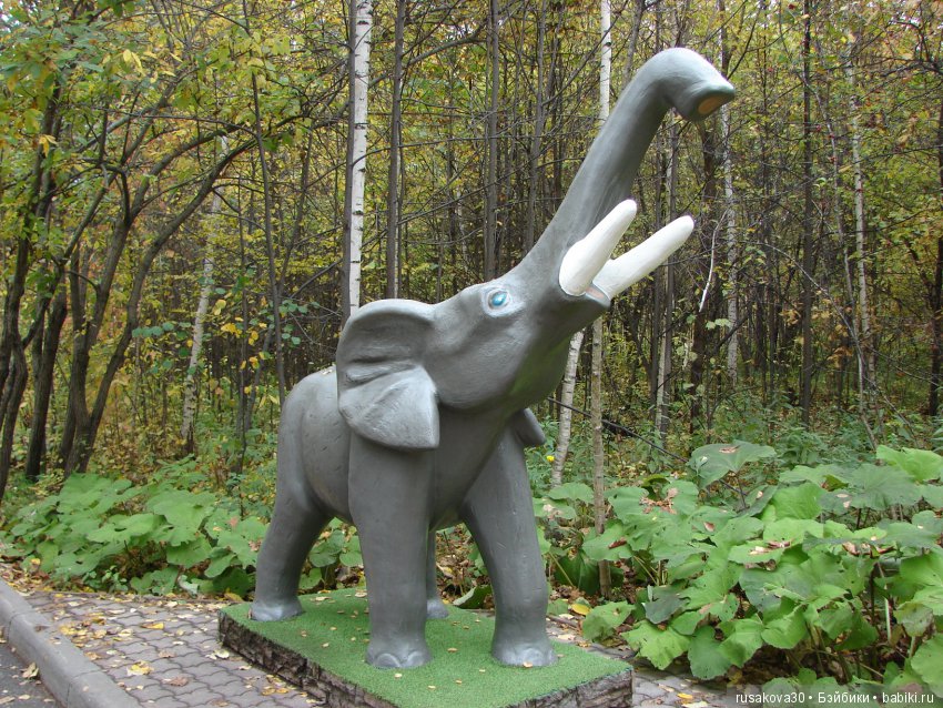 Как новенькая Машка побывала в зоопарке