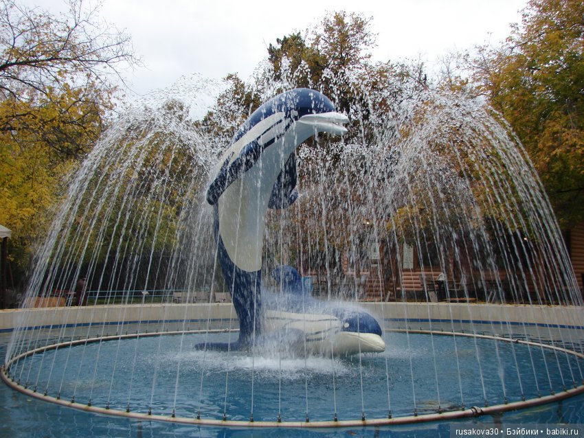 Как новенькая Машка побывала в зоопарке