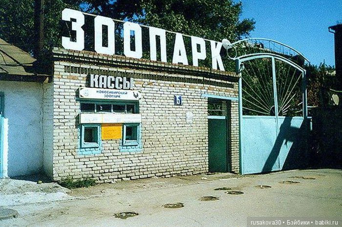 Как новенькая Машка побывала в зоопарке (фото 2)