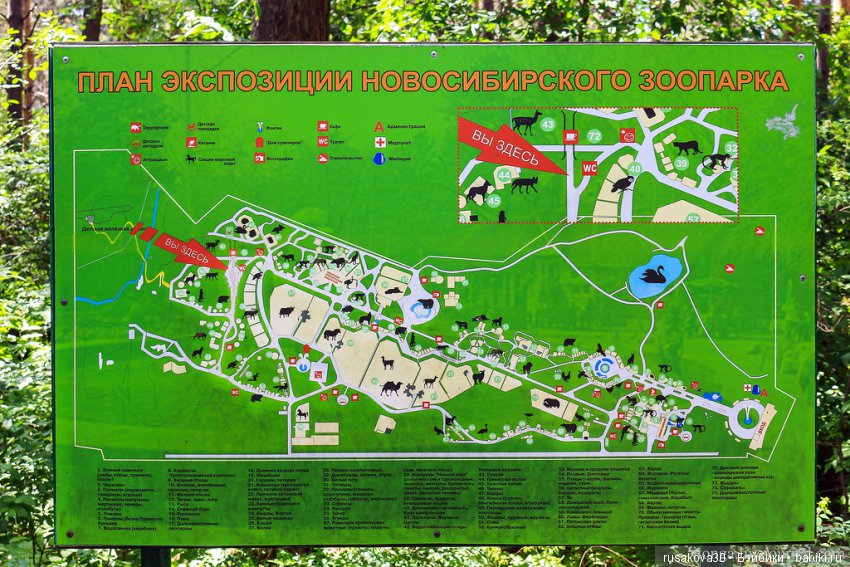 Как новенькая Машка побывала в зоопарке (фото 6)