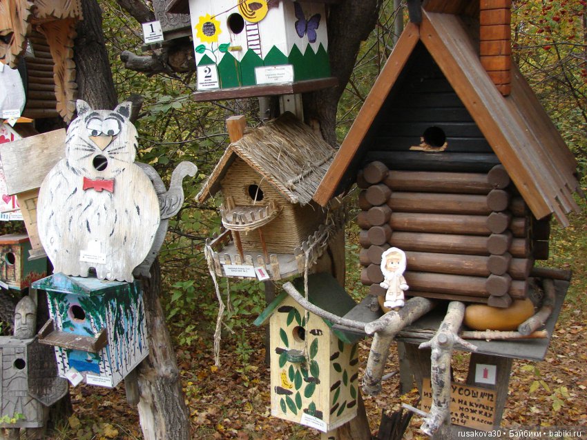 Как новенькая Машка побывала в зоопарке