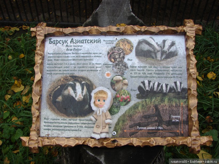 Как новенькая Машка побывала в зоопарке