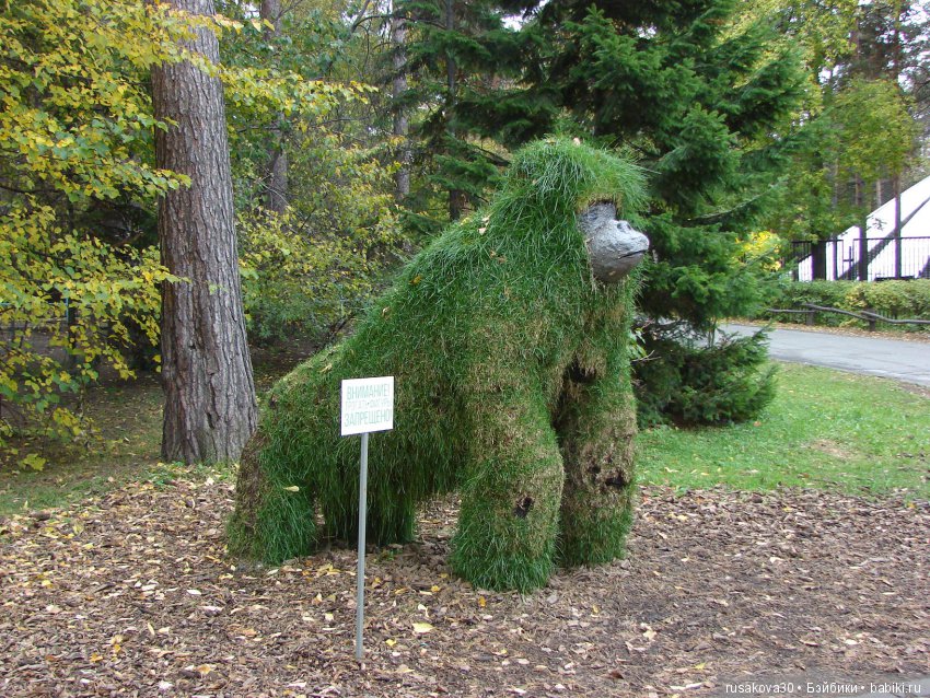 Как новенькая Машка побывала в зоопарке