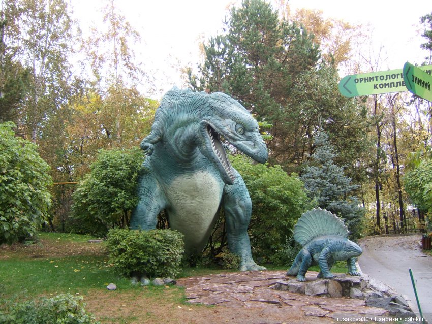 Как новенькая Машка побывала в зоопарке