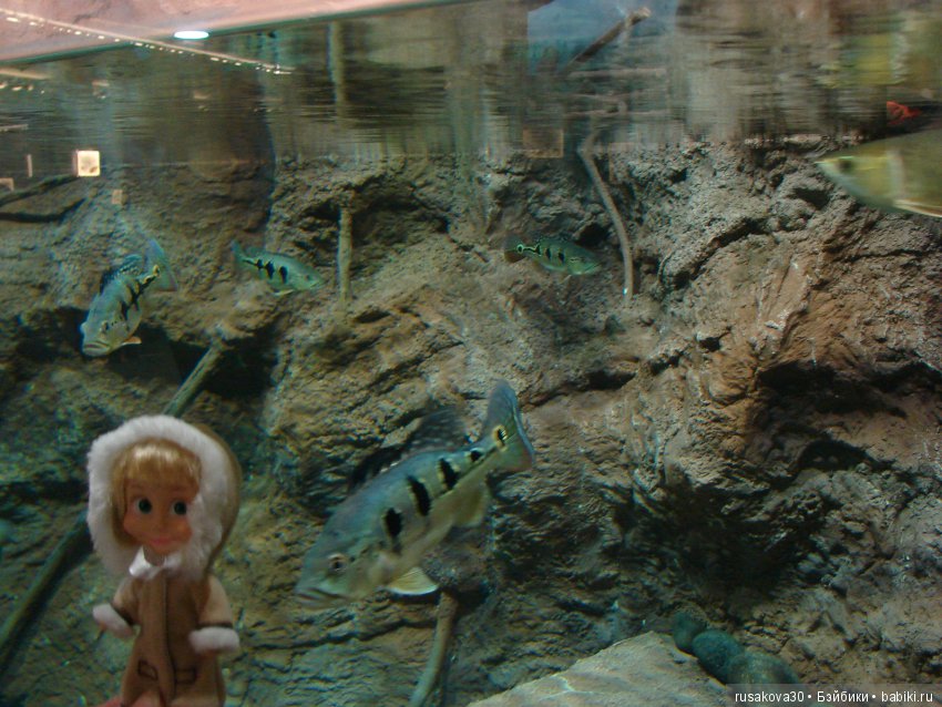 Как новенькая Машка побывала в зоопарке