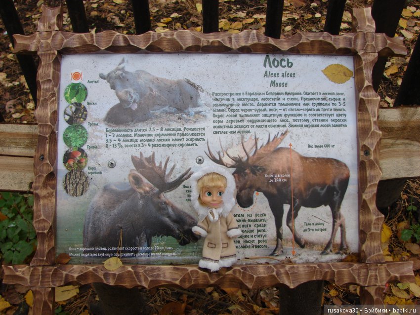 Как новенькая Машка побывала в зоопарке