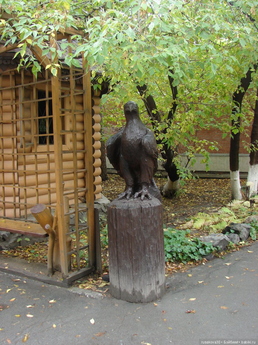 Как новенькая Машка побывала в зоопарке