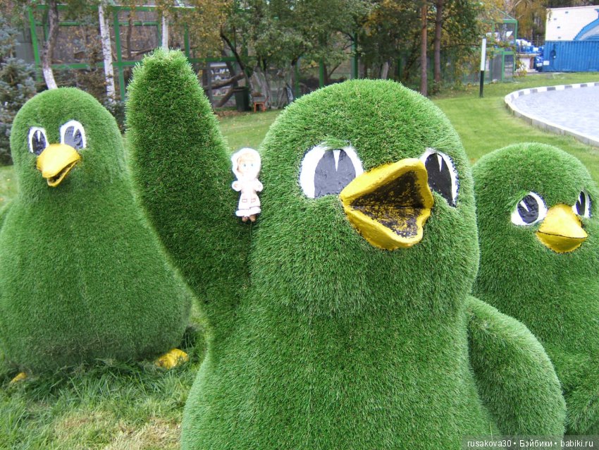 Как новенькая Машка побывала в зоопарке