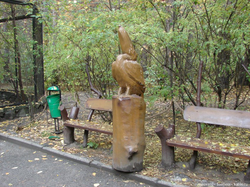 Как новенькая Машка побывала в зоопарке