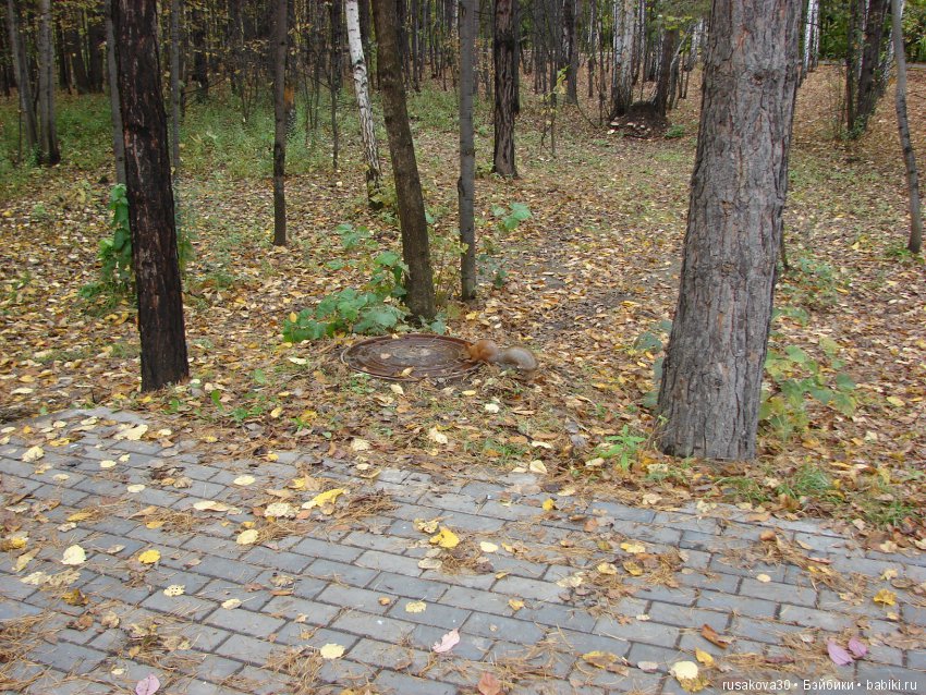 Как новенькая Машка побывала в зоопарке