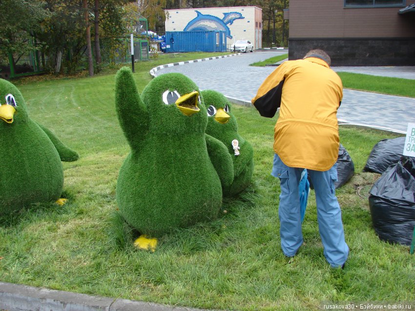 Как новенькая Машка побывала в зоопарке