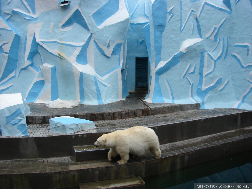 Как новенькая Машка побывала в зоопарке
