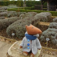 Людвиг 14-тый и лаванда