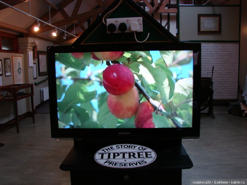 Вкуснейшие варенья и джемы старейшей аглийской фабрики Tiptree