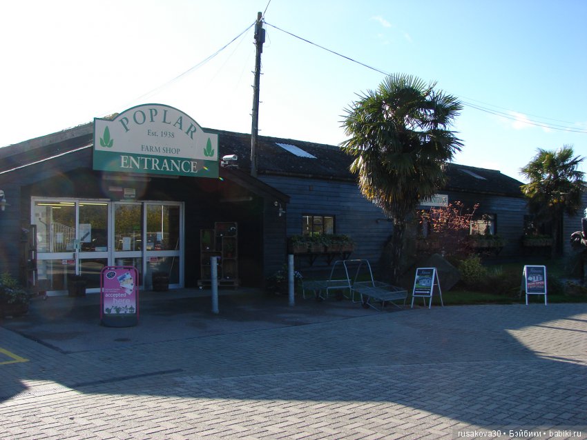 Людвиг продолжает путешествовать по Англии (фото 2)