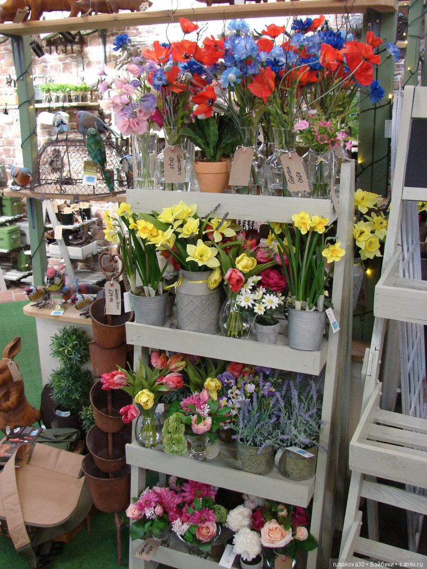 Людвиг продолжает путешествовать по Англии (фото 4)