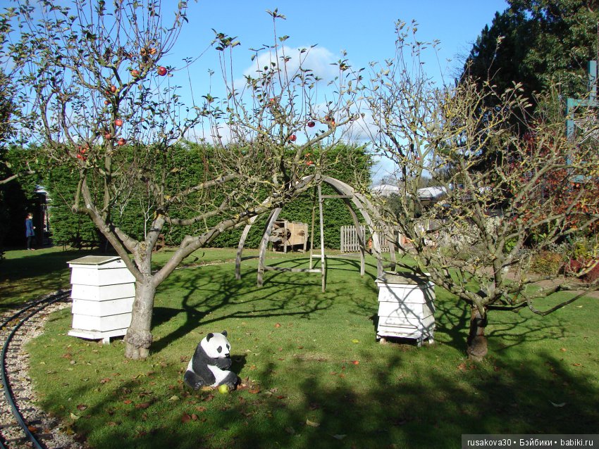 Людвиг продолжает путешествовать по Англии