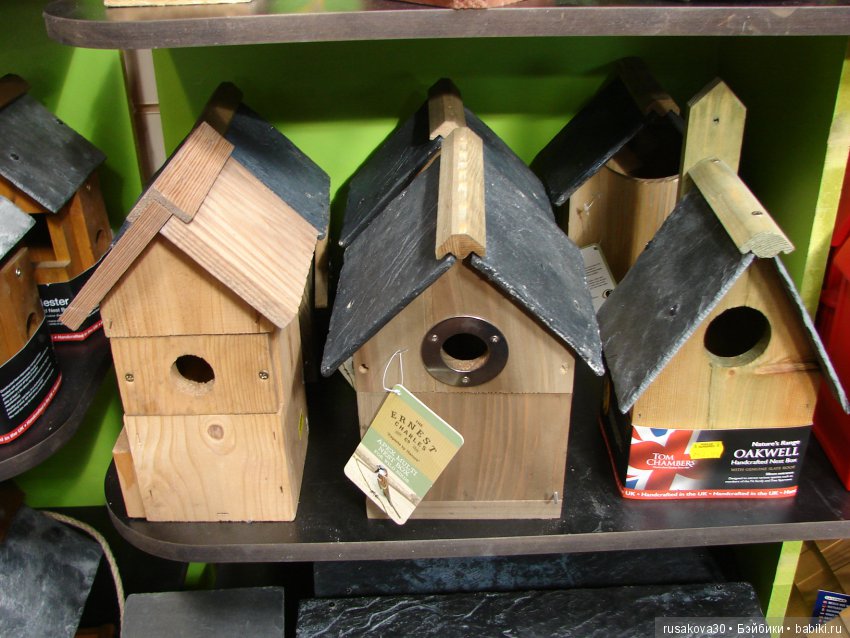 Людвиг продолжает путешествовать по Англии