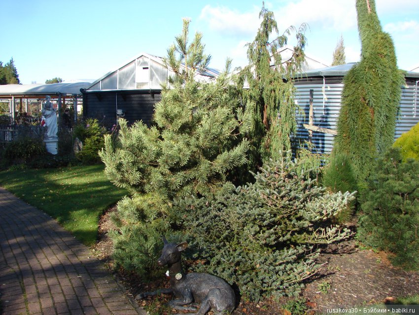 Людвиг продолжает путешествовать по Англии