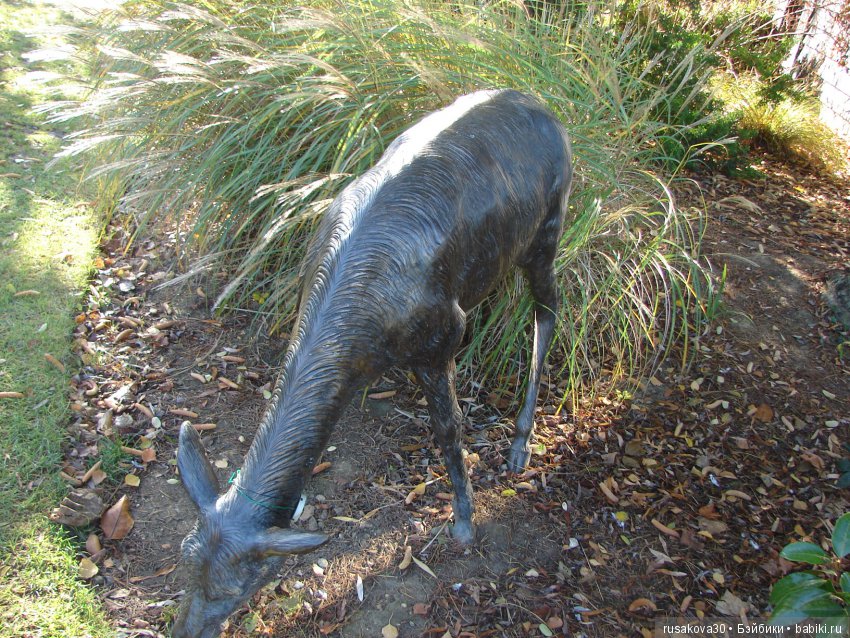 Людвиг продолжает путешествовать по Англии