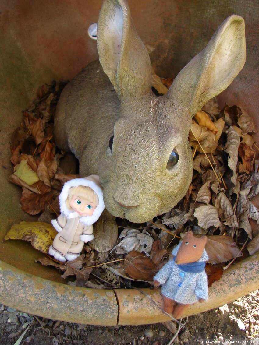 Людвиг продолжает путешествовать по Англии