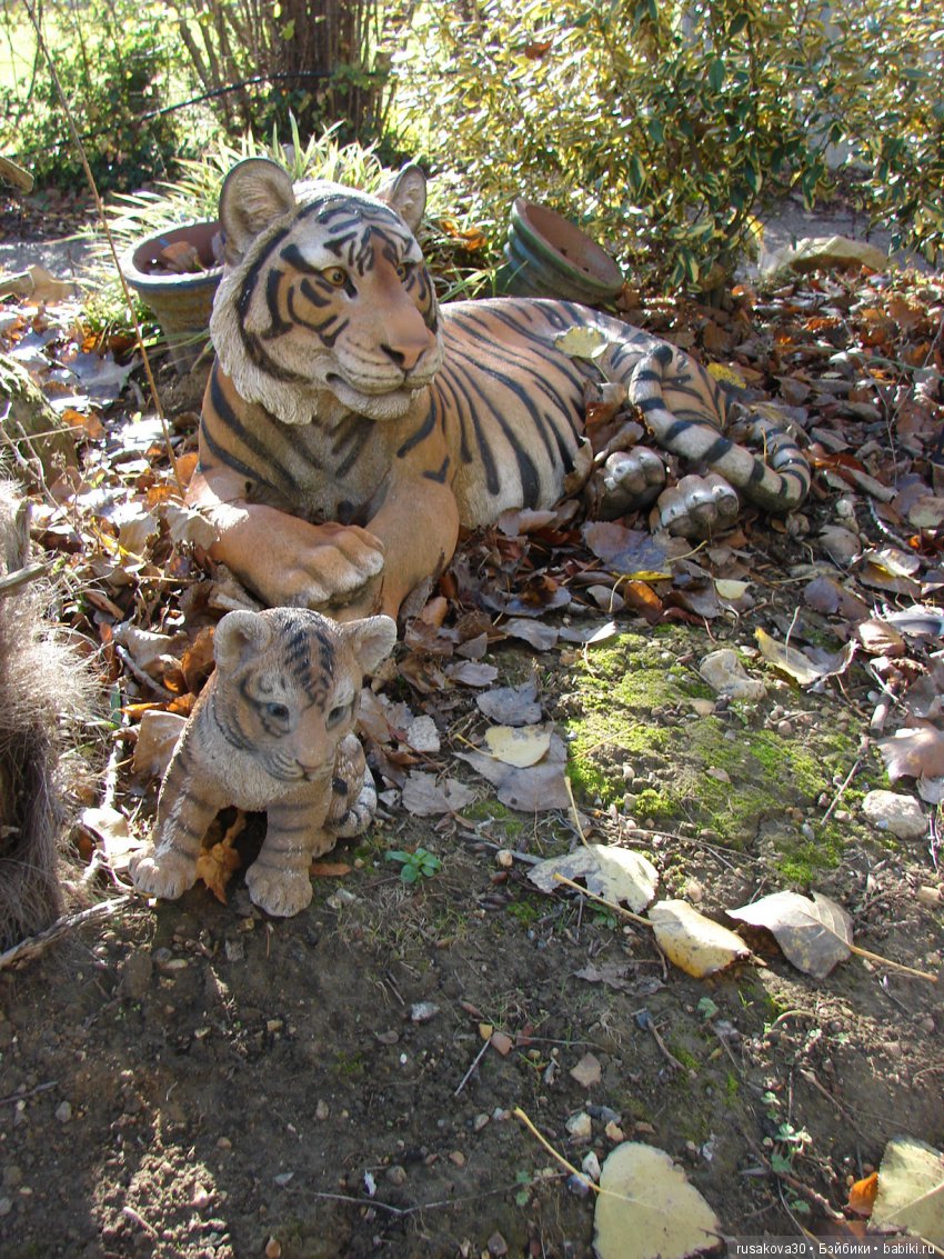 Людвиг продолжает путешествовать по Англии