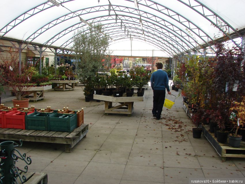 Людвиг продолжает путешествовать по Англии