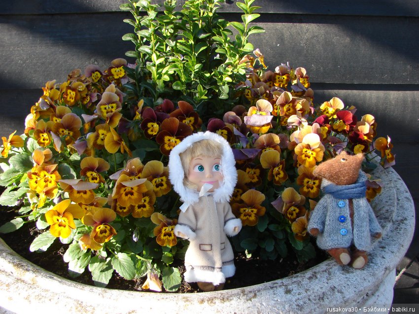 Людвиг продолжает путешествовать по Англии