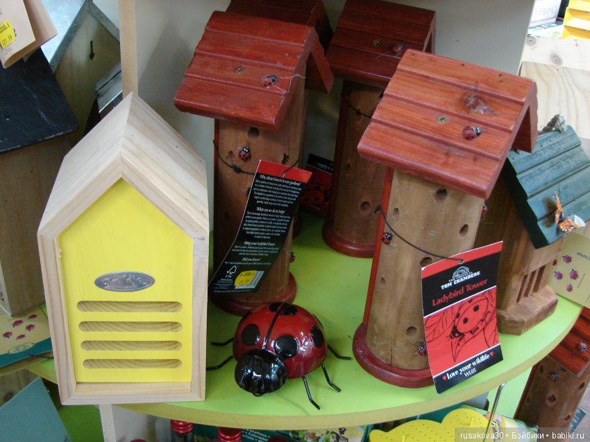 Людвиг продолжает путешествовать по Англии