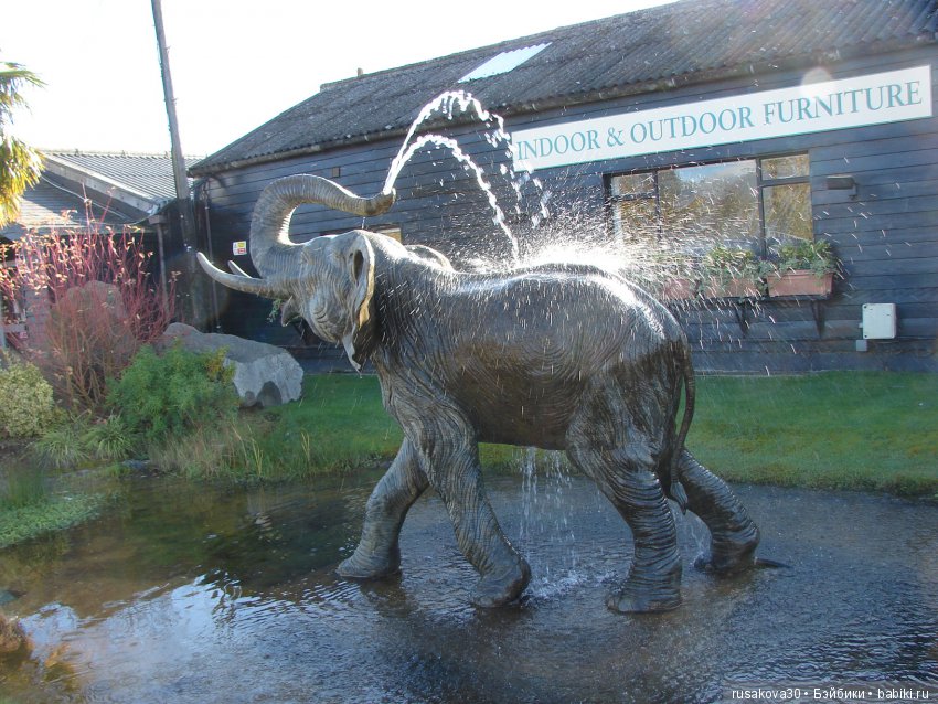 Людвиг продолжает путешествовать по Англии (фото 3)