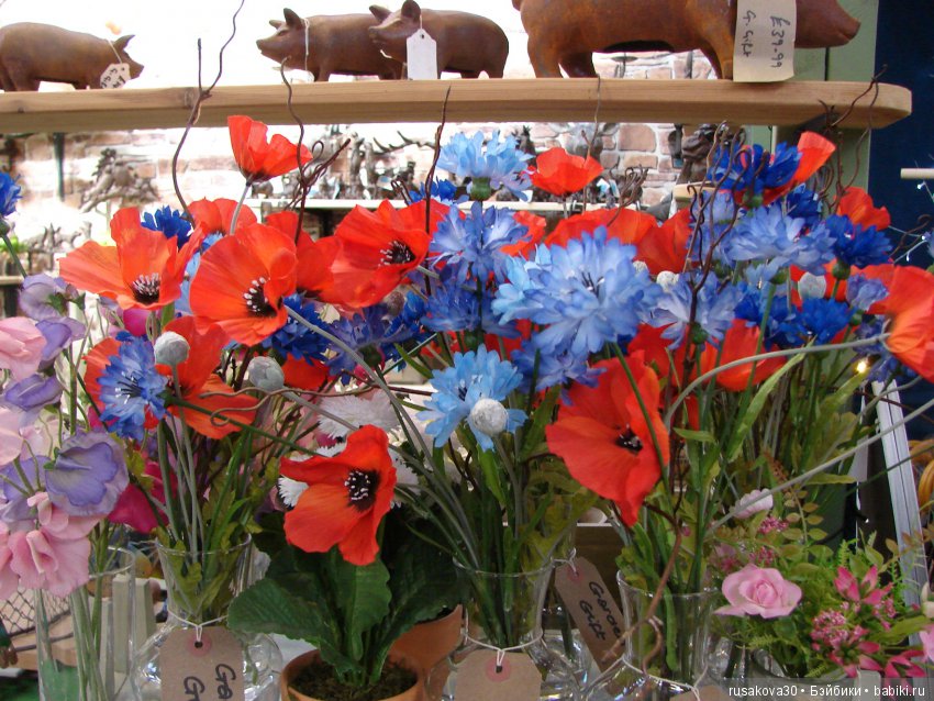 Людвиг продолжает путешествовать по Англии (фото 5)