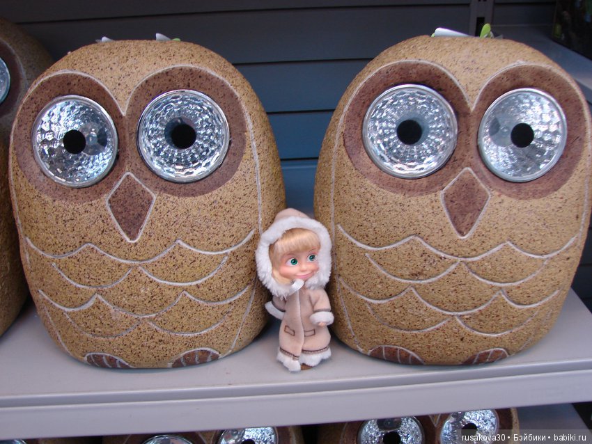 Людвиг продолжает путешествовать по Англии