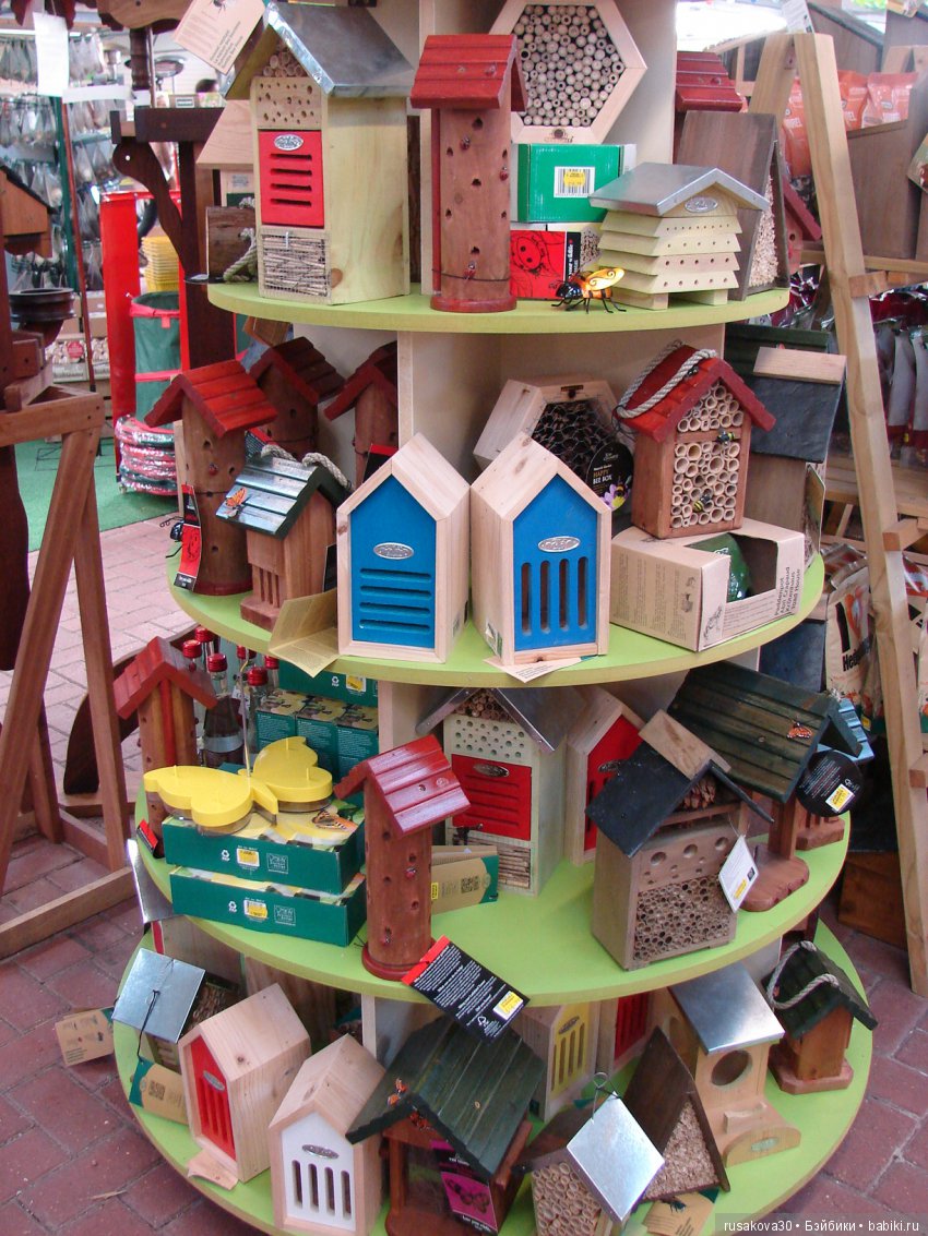 Людвиг продолжает путешествовать по Англии