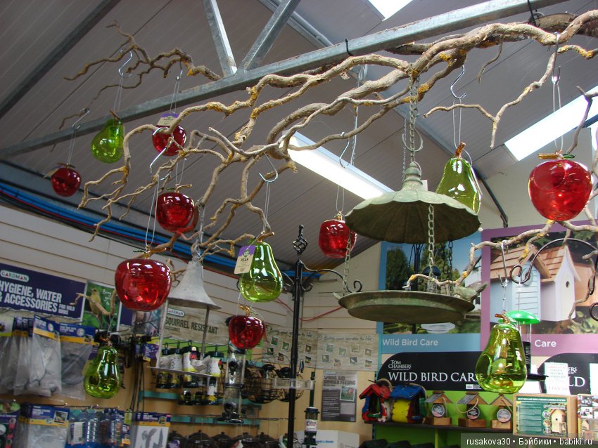 Людвиг продолжает путешествовать по Англии