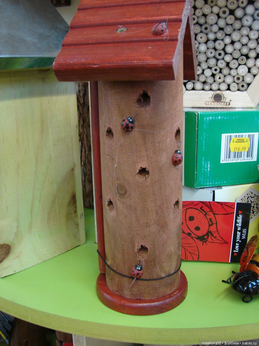 Людвиг продолжает путешествовать по Англии