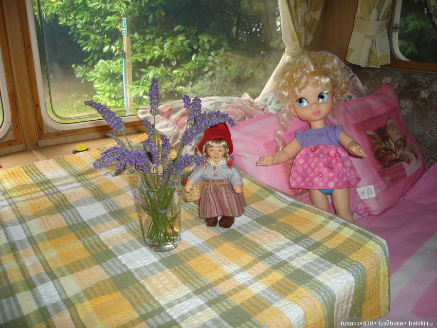 Сага о караванах — Интересное и необычное: фотоподборки