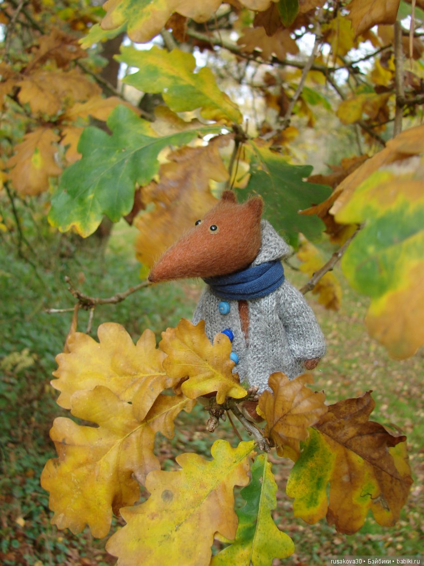 Милые глазастики — Фарфоровые куклы разных брендов (Разное): редкие