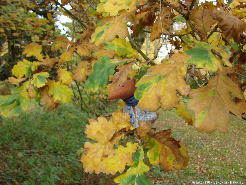Милые глазастики — Фарфоровые куклы разных брендов (Разное): редкие