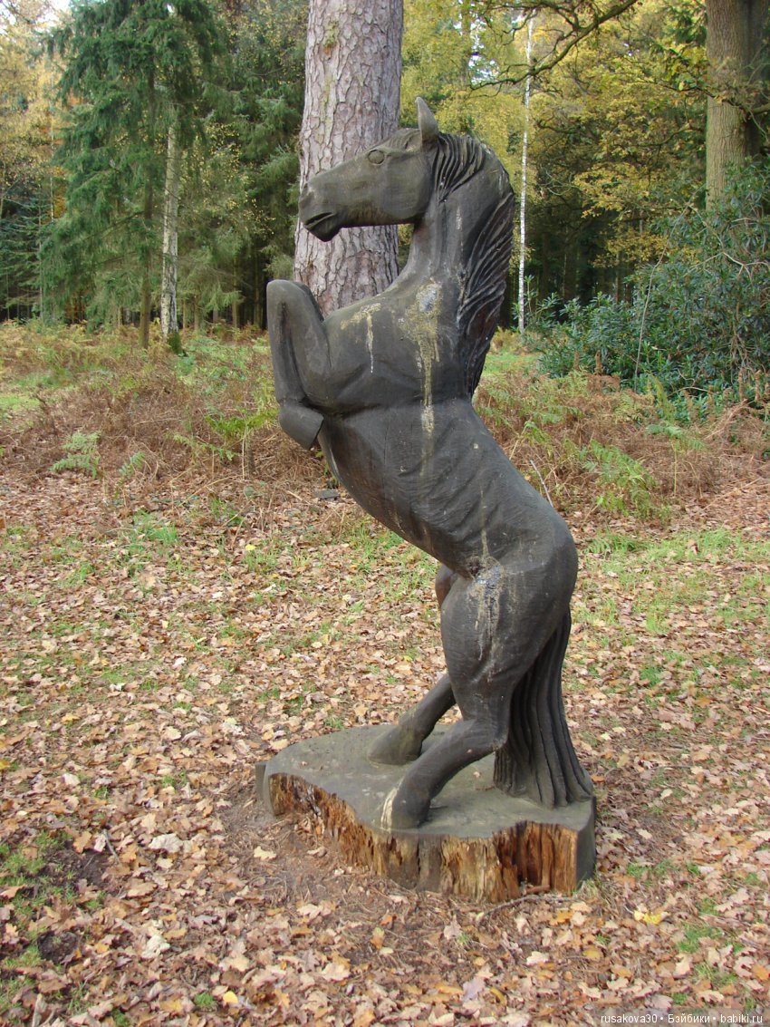 Милые глазастики — Фарфоровые куклы разных брендов (Разное): редкие