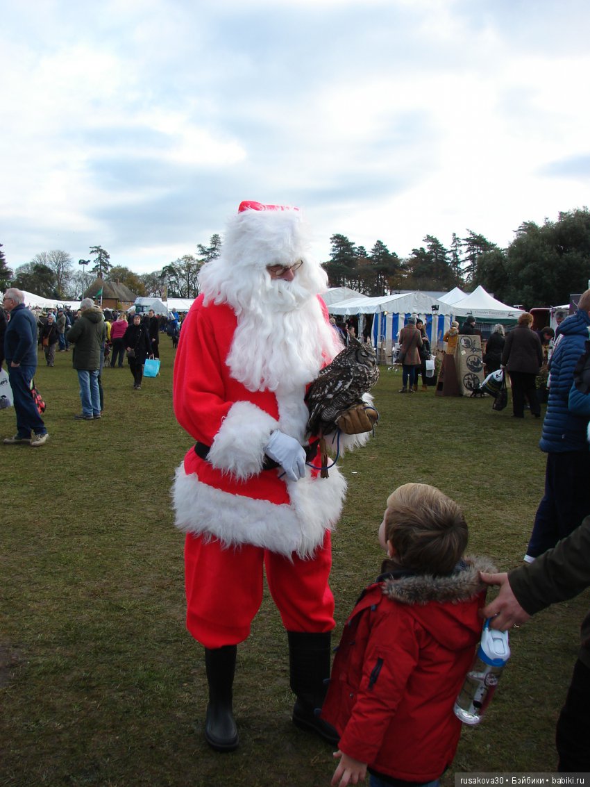 Как Людвиг на Рождественскую ярмарку ездил (фото 7)