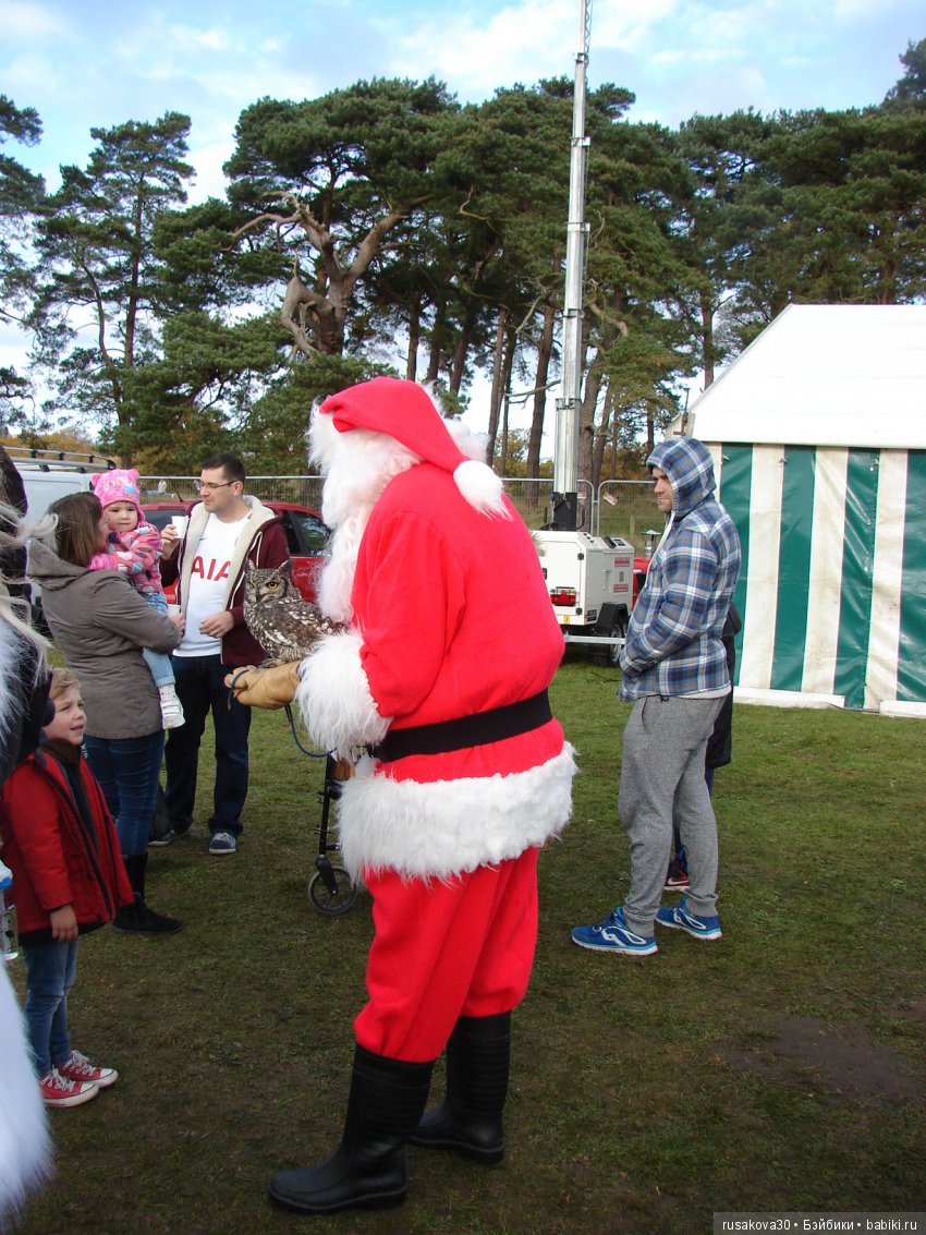 Как Людвиг на Рождественскую ярмарку ездил (фото 6)