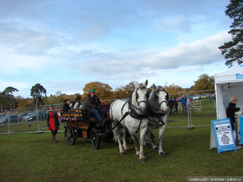 Как Людвиг на Рождественскую ярмарку ездил