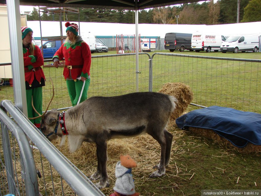 Как Людвиг на Рождественскую ярмарку ездил (фото 10)