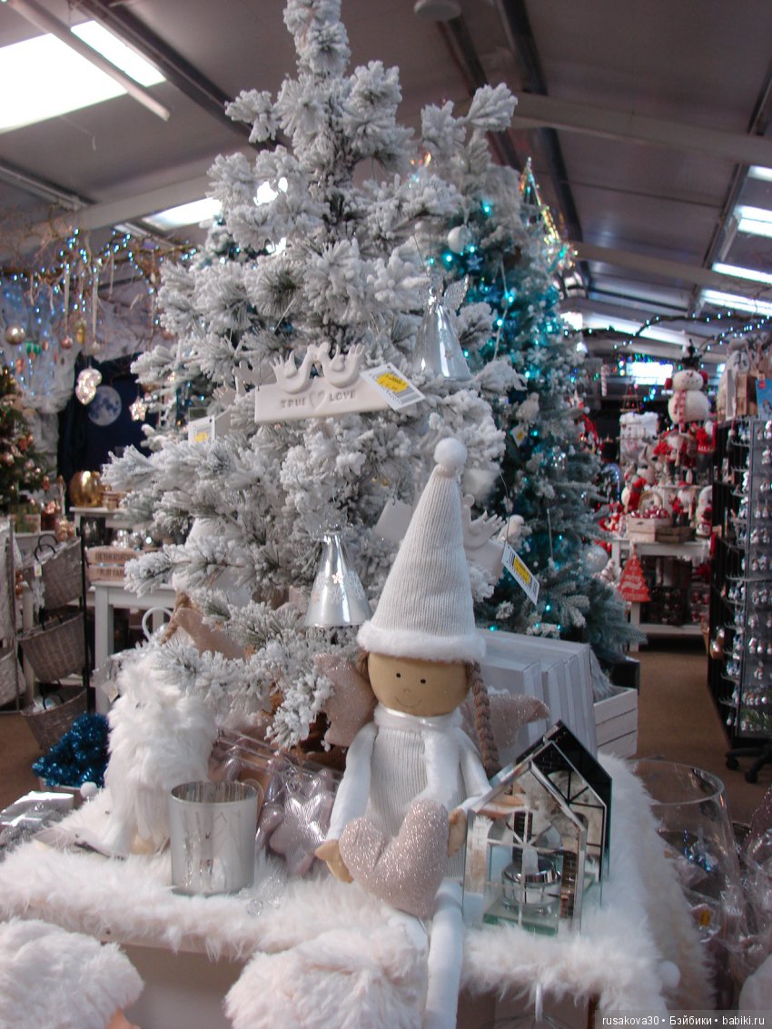 Мишка,Мишка....елка,елка — Туризм и путешествия: фотоотчеты из поездок (фото 4)