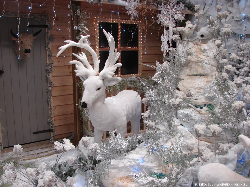 Мишка,Мишка....елка,елка — Туризм и путешествия: фотоотчеты из поездок (фото 5)