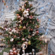 Мишка,Мишка....елка,елка !