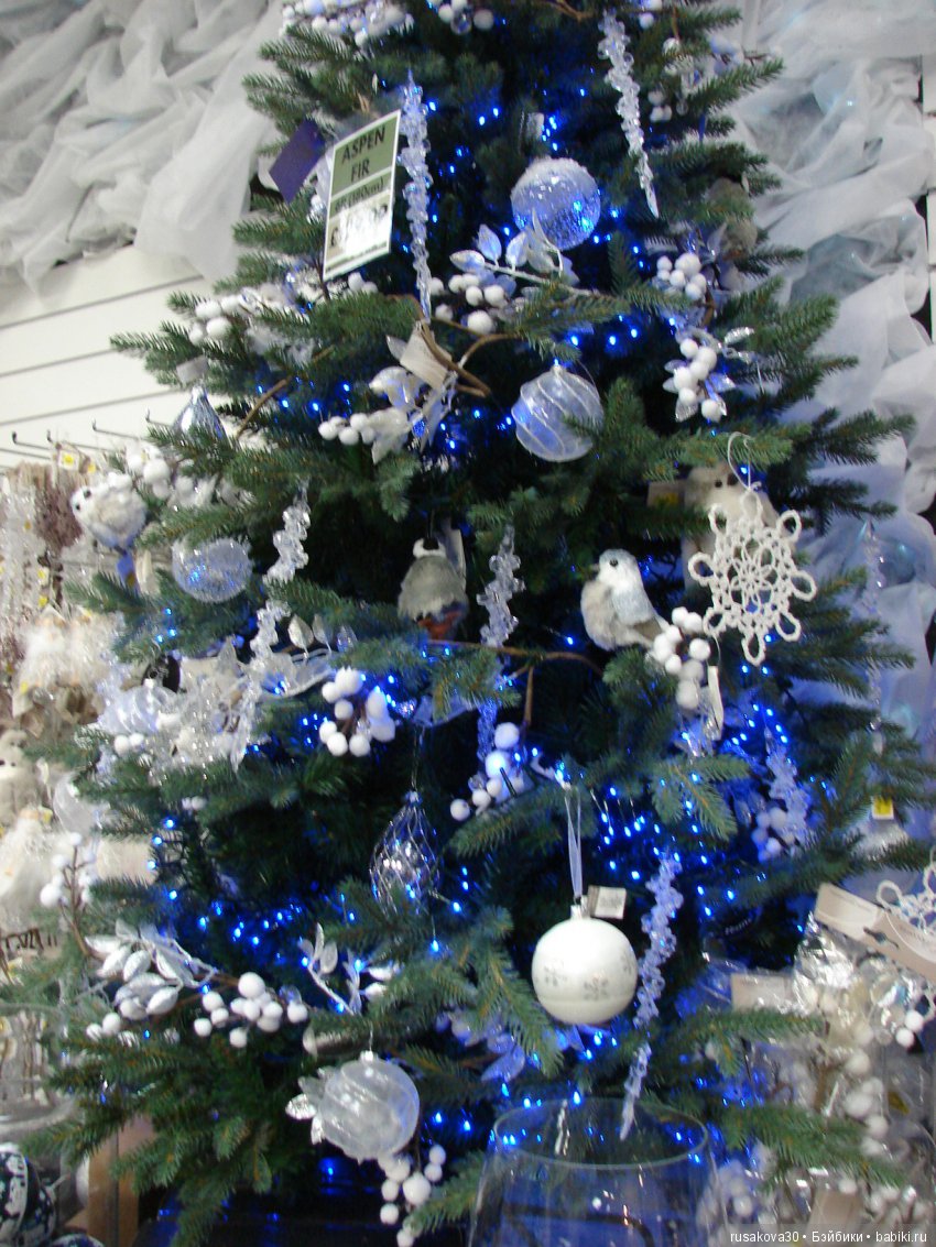 Мишка,Мишка....елка,елка — Туризм и путешествия: фотоотчеты из поездок (фото 9)