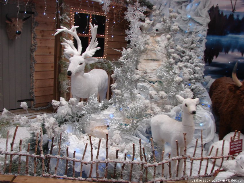 Мишка,Мишка....елка,елка — Туризм и путешествия: фотоотчеты из поездок (фото 8)