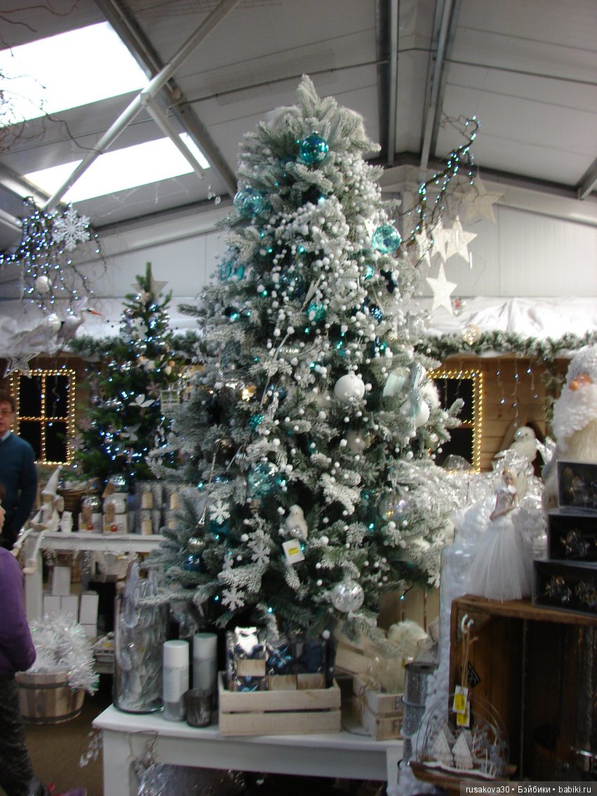 Мишка,Мишка....елка,елка — Туризм и путешествия: фотоотчеты из поездок