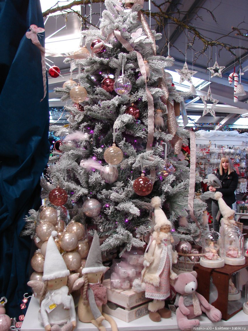 Мишка,Мишка....елка,елка — Туризм и путешествия: фотоотчеты из поездок